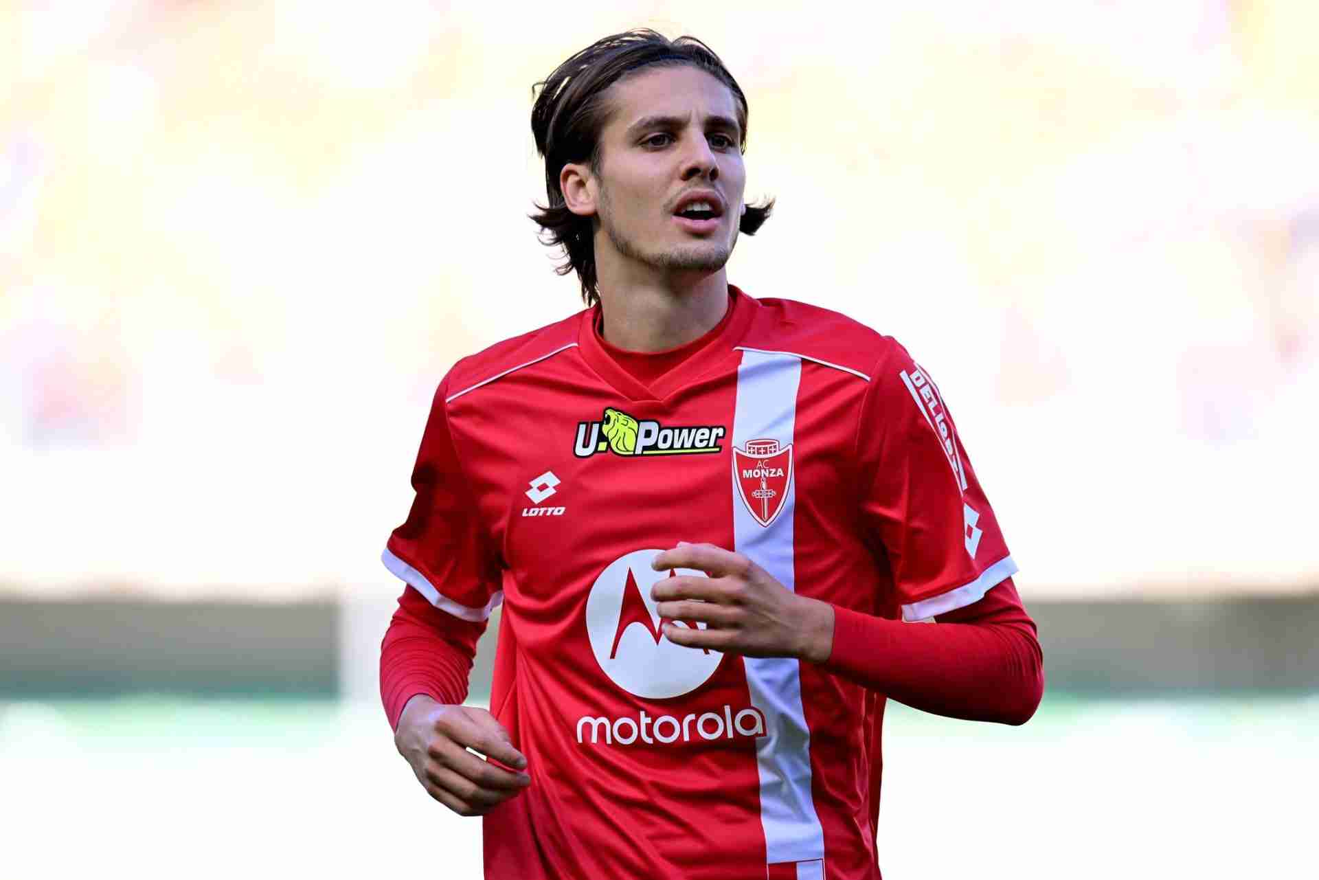 Colpani