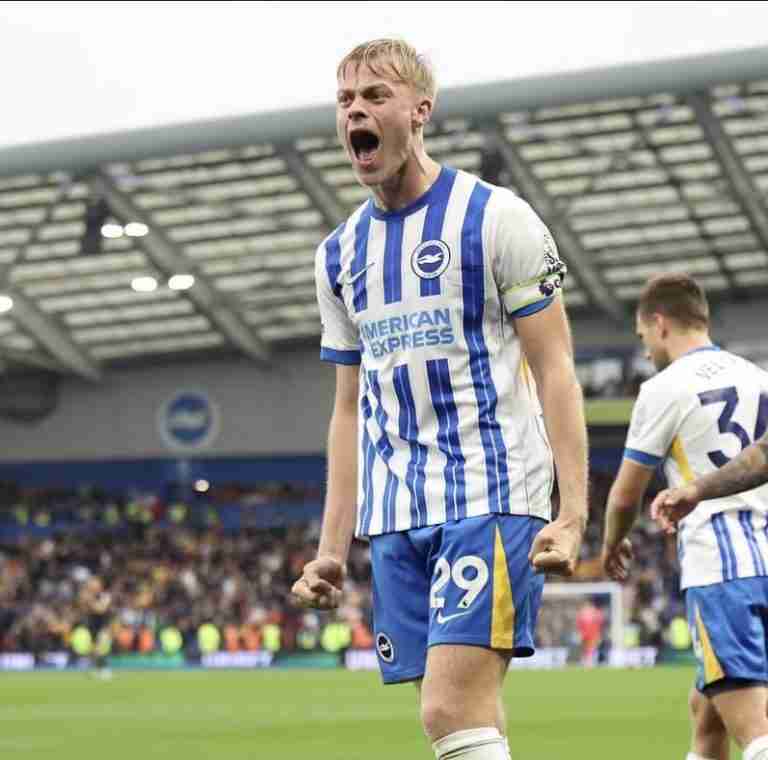 van Hecke mercato Napoli