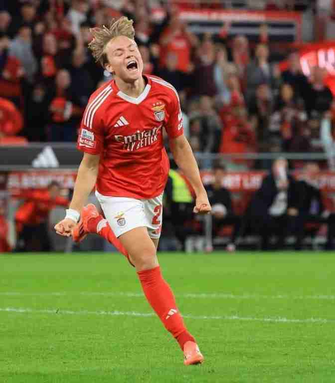 Andreas Schjelderup