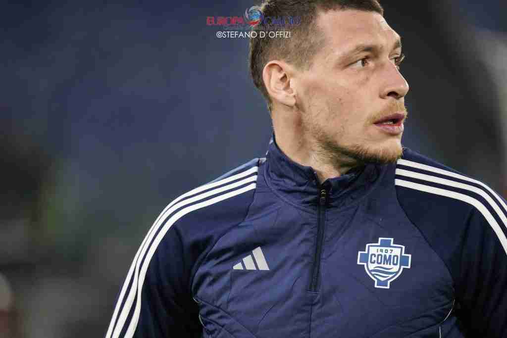 Belotti