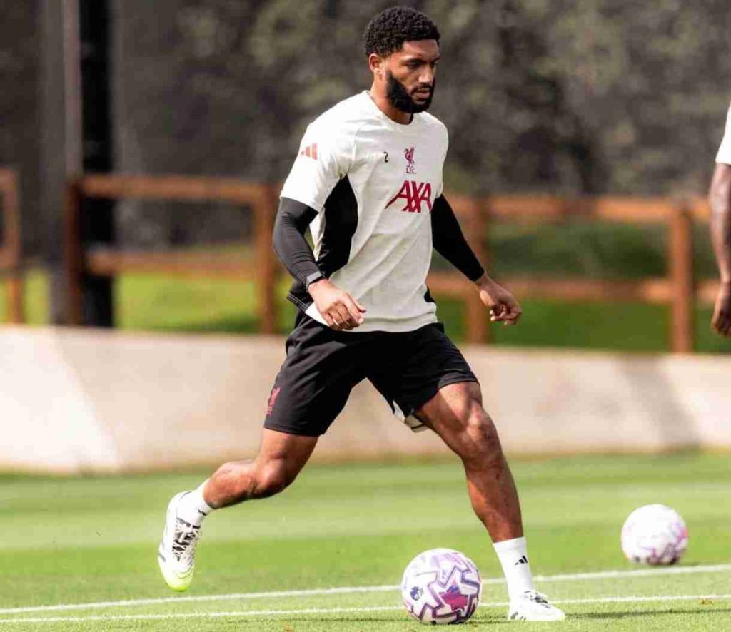 Joe Gomez